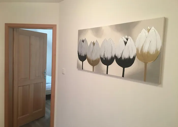 Pecival Lipno * 리프노나드비타보브